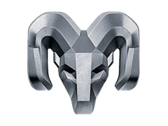 RAM